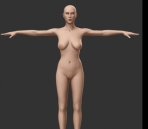 Dos modelo humano