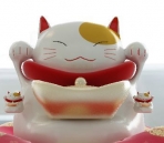 Suerte lindo gato