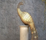 Escultura de acero inoxidable - Peacock