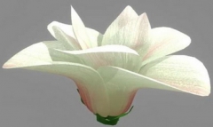 Flor, Magnolia modelos 3D (formato MB, con mapa)