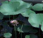 Lotus Leaf con el modelo 3D de loto (con mapa)